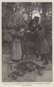 Blind Love, av Wilkie Collins